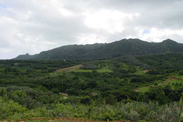 6867 Koolau Road Kilauea, HI 96754 - Photo 4 of 8 a view of a mountain range with lush green forest
