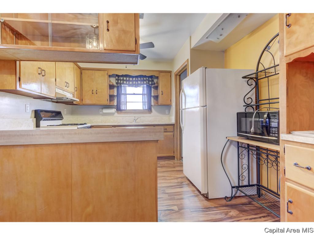 9 Stelte Lane Springfield, IL 62702 - Photo 7 of 33