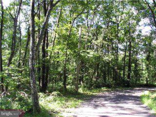 55 Hill Road Green Lane, PA 18054 - Photo 2 of 3