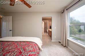 3133 Stillriver Drive Howell, MI 48843 - Photo 18 of 46