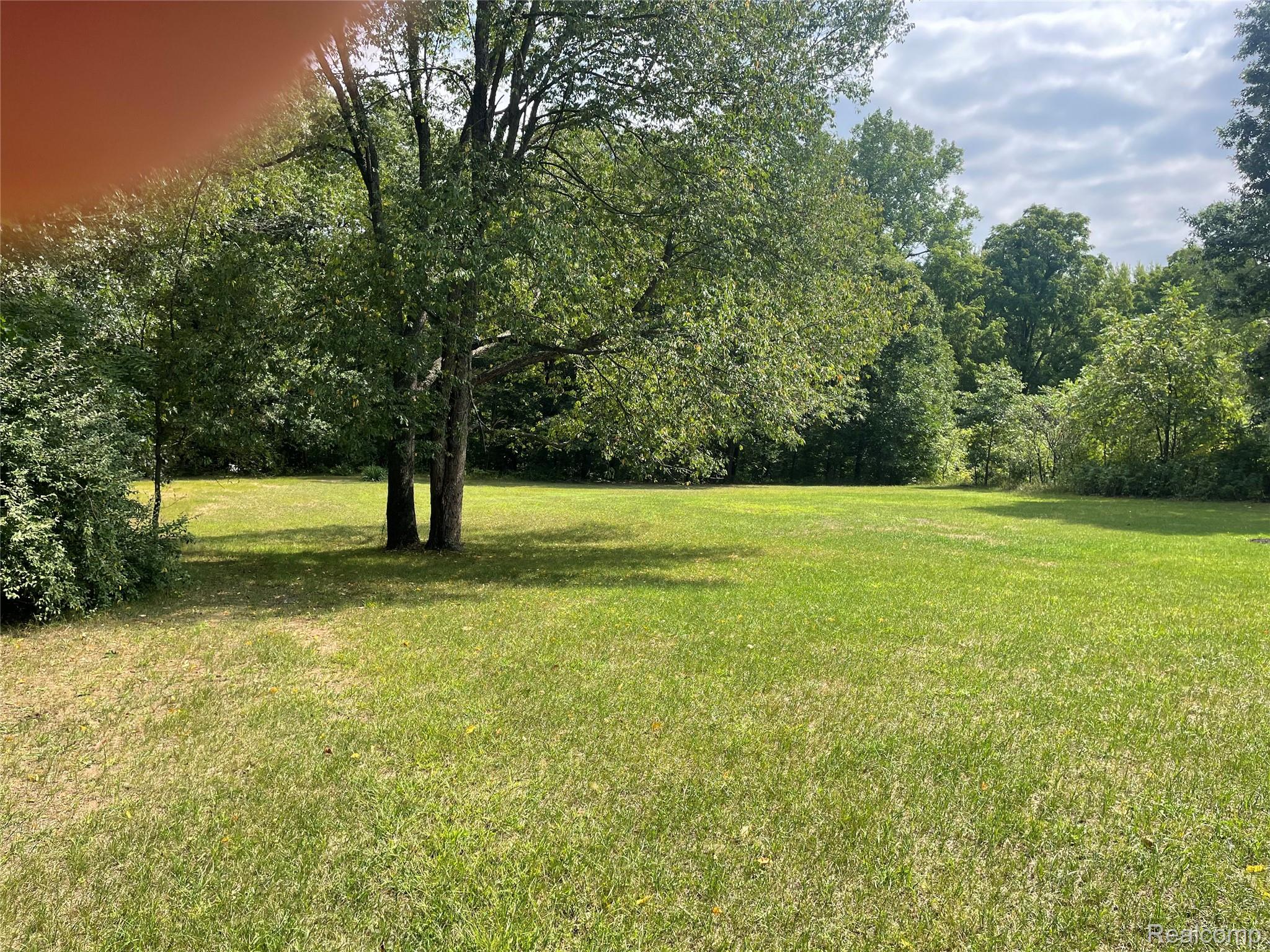 1938 Indian Road Lapeer, MI 48446 - Photo 17 of 19 Expansive natural grass area with mature trees and dense foliage