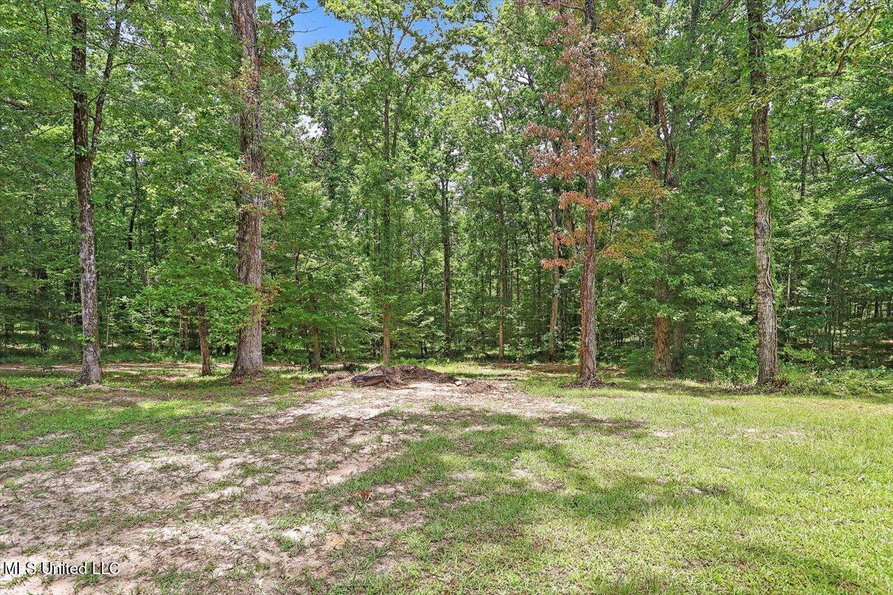 162 South Eagle Ridge Drive Florence, MS 39073 - Photo 36 of 37 42-162 S Eagle Ridge Dr
