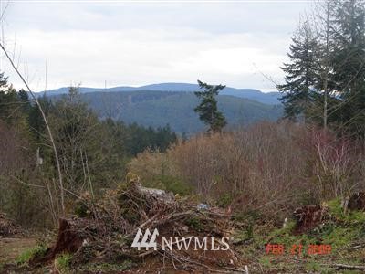 199 Stamper Road Elma, WA 98541 - Photo 1 of 1 Gallery Image 1