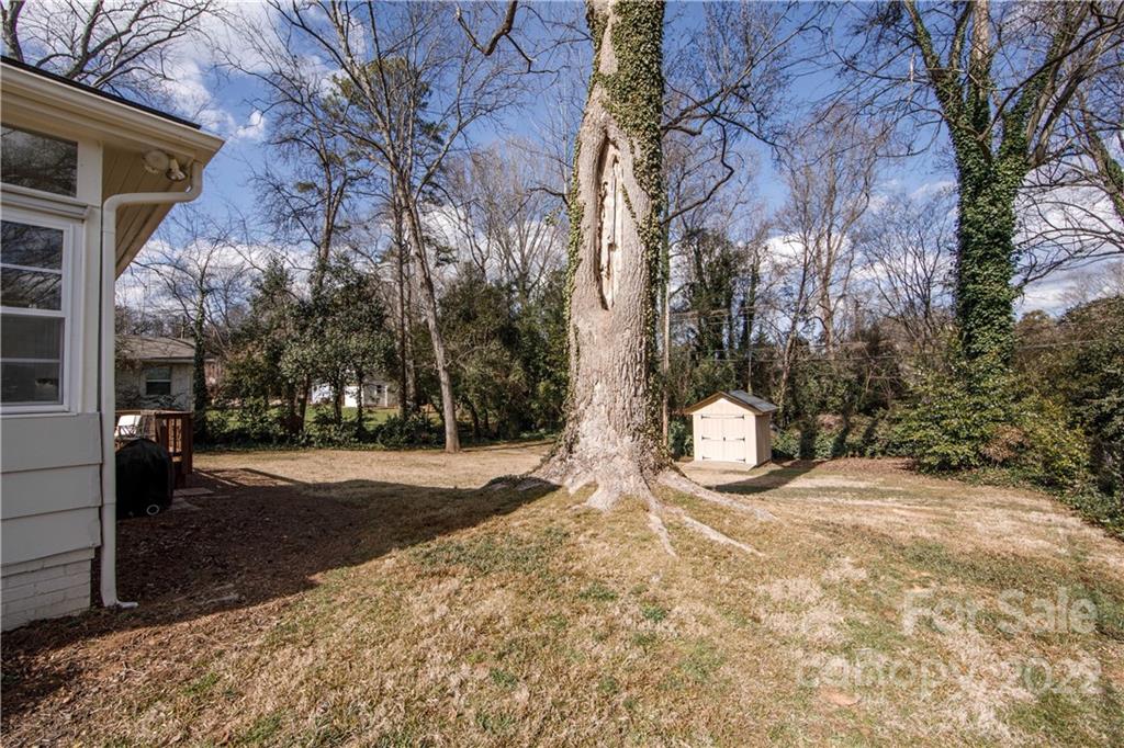 5539 Murrayhill Road Charlotte, NC 28210 - Photo 38 of 46 a view of a yard with a tree