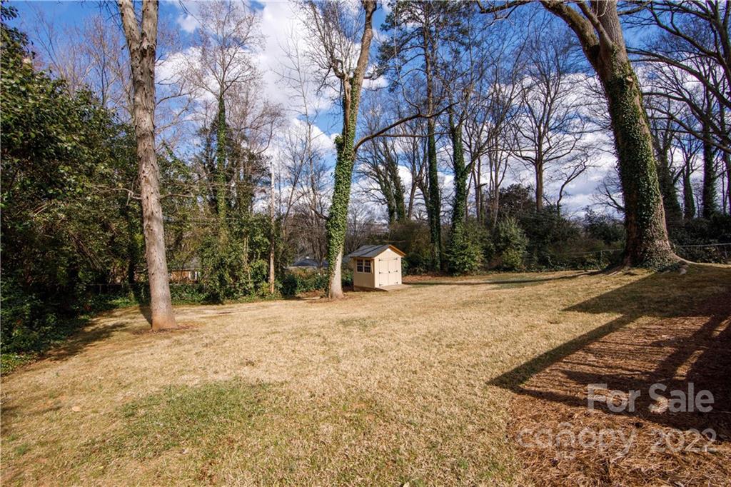5539 Murrayhill Road Charlotte, NC 28210 - Photo 43 of 46 a view of a yard with trees