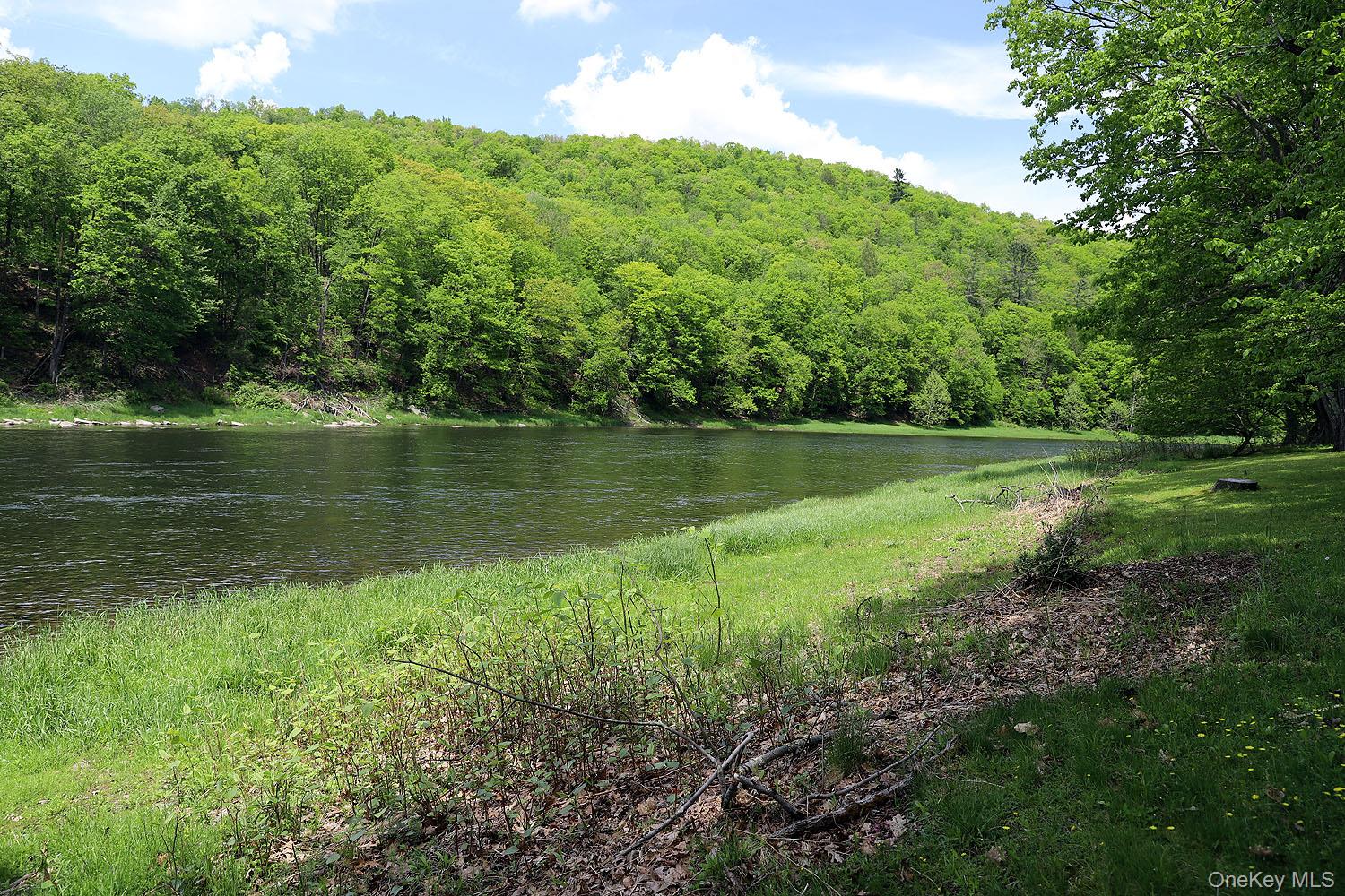 860 River Road Callicoon, NY 12723 - Photo 41 of 45 a view of a green field with plants and large trees
