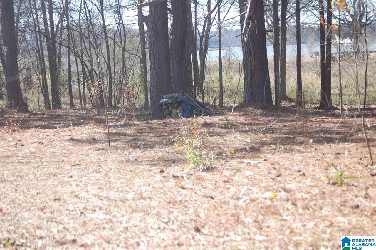 0 Carleton Point, Unit 12 Wilsonville, AL 35186 - Photo 8 of 13