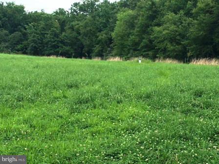 Warburton Road Elkton, MD 21921 - Photo 3 of 5 Exterior (General)
