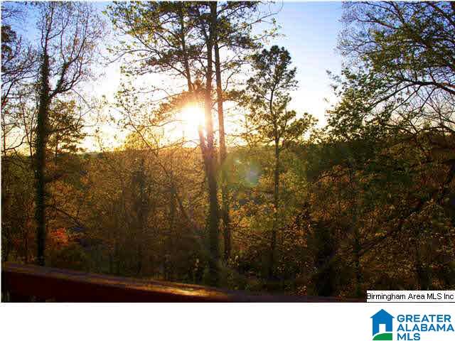 1924 Crossvine Road Birmingham, AL 35244 - Photo 19 of 22 Gallery Image 19