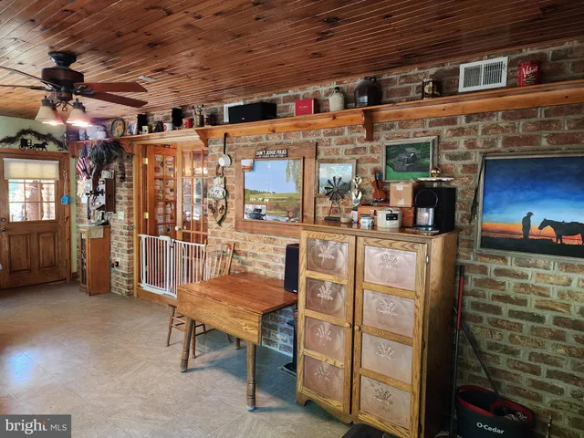 a park with large trees