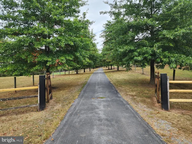 a view of backyard of house with wooden fence and large trees