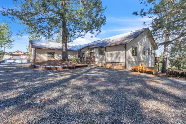 a row of palm trees in front of a building