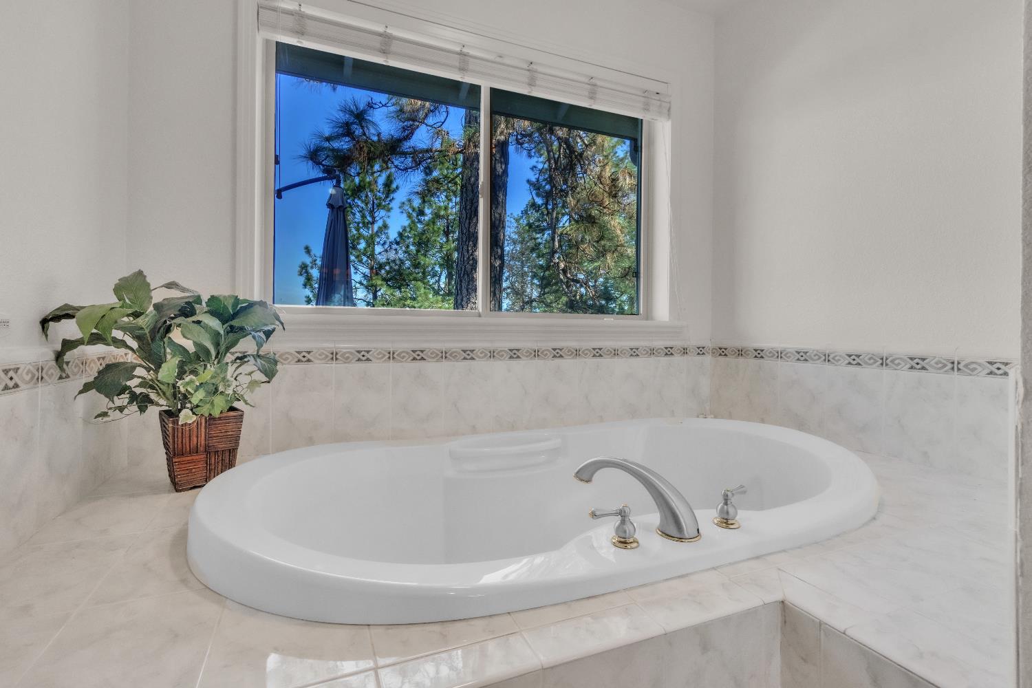 19665 Eagle Ridge Road Foresthill, CA 95631 - Photo 8 of 39 a white bath tub sitting in a bathroom