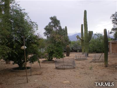 3320 West Goret Road Tucson, AZ 85745 - Photo 14 of 15 Gallery Image 14