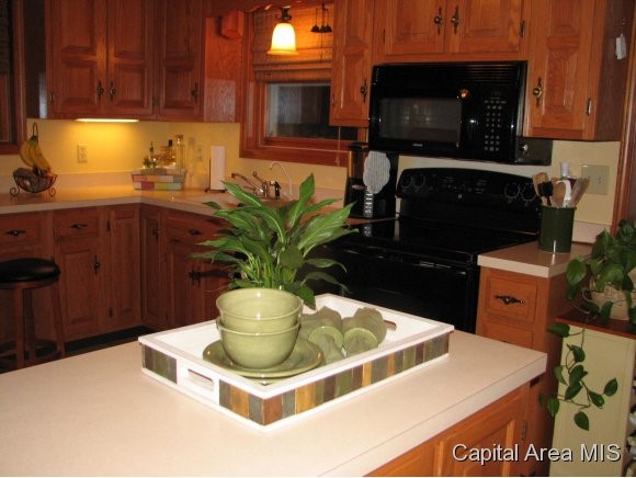 2125 Marland Street Springfield, IL 62702 - Photo 3 of 17 Gallery Image 3