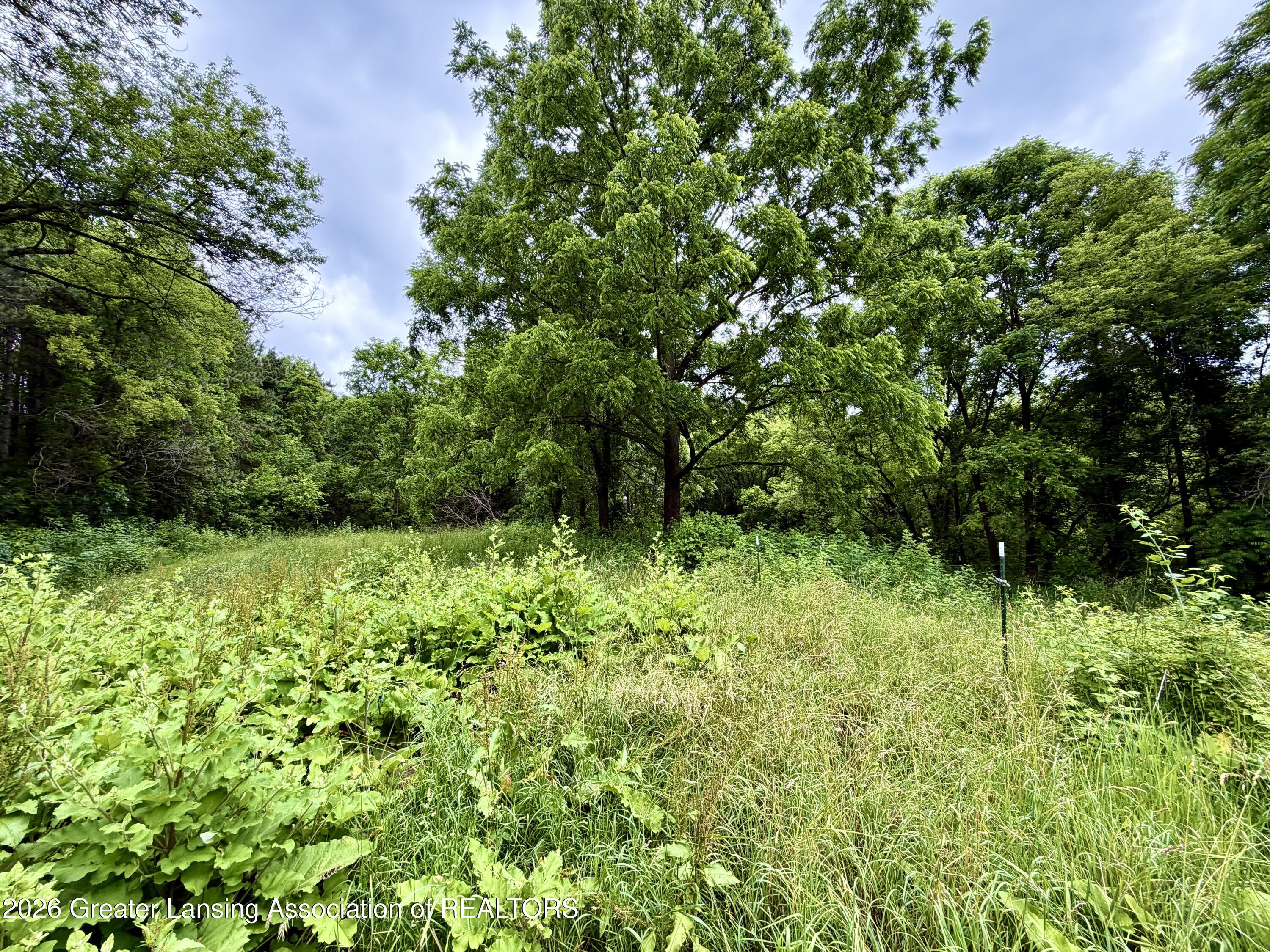5447 Woods Road Bellevue, MI 49021 - Photo 51 of 62