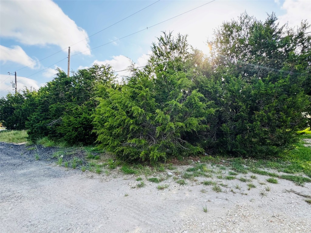 419 Thunderhead Drive Spring Branch, TX 78070 - Photo 3 of 7 a view of a yard with plants and a tree