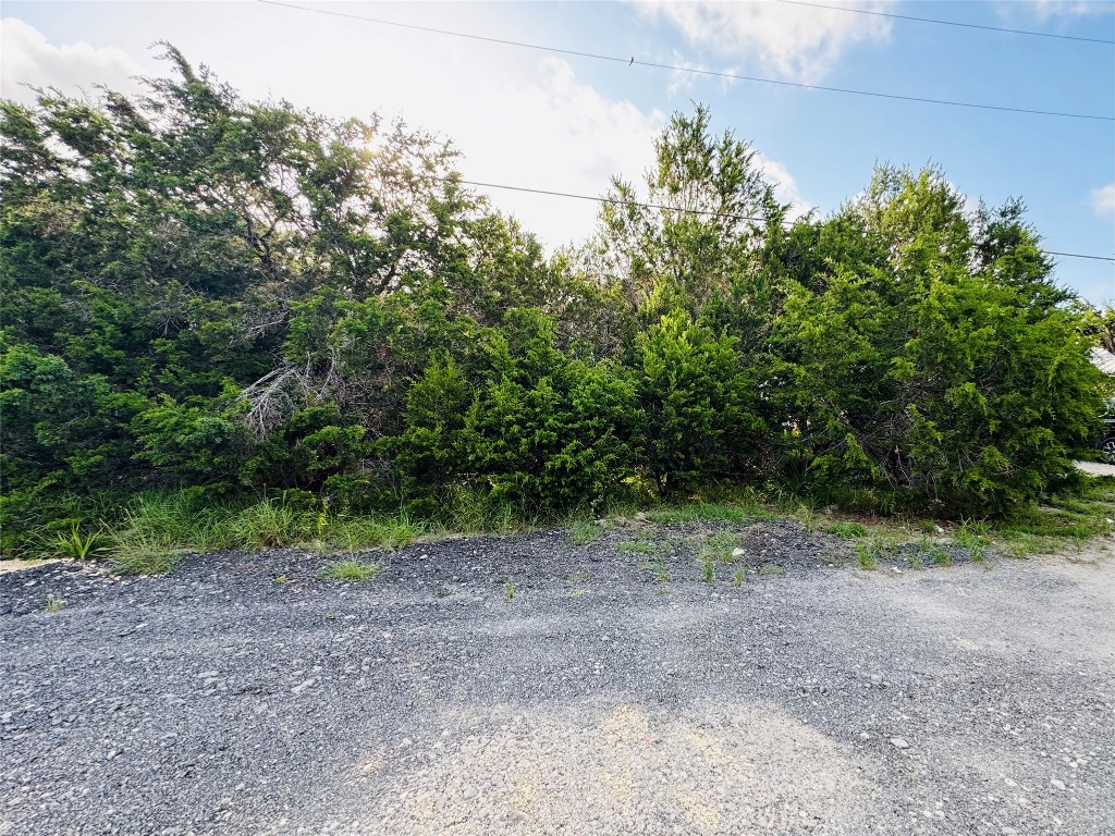 419 Thunderhead Drive Spring Branch, TX 78070 - Photo 4 of 7 a view of a yard with a tree