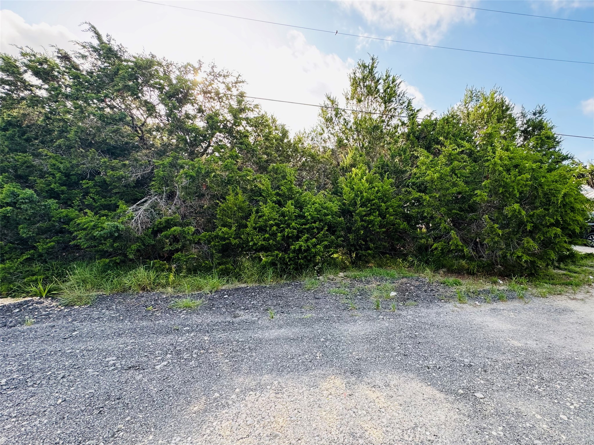 419 Thunderhead Drive Spring Branch, TX 78070 - Photo 4 of 7 a view of a yard with a tree