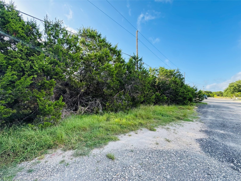 419 Thunderhead Drive Spring Branch, TX 78070 - Photo 5 of 7 a view of a yard with plants and a tree