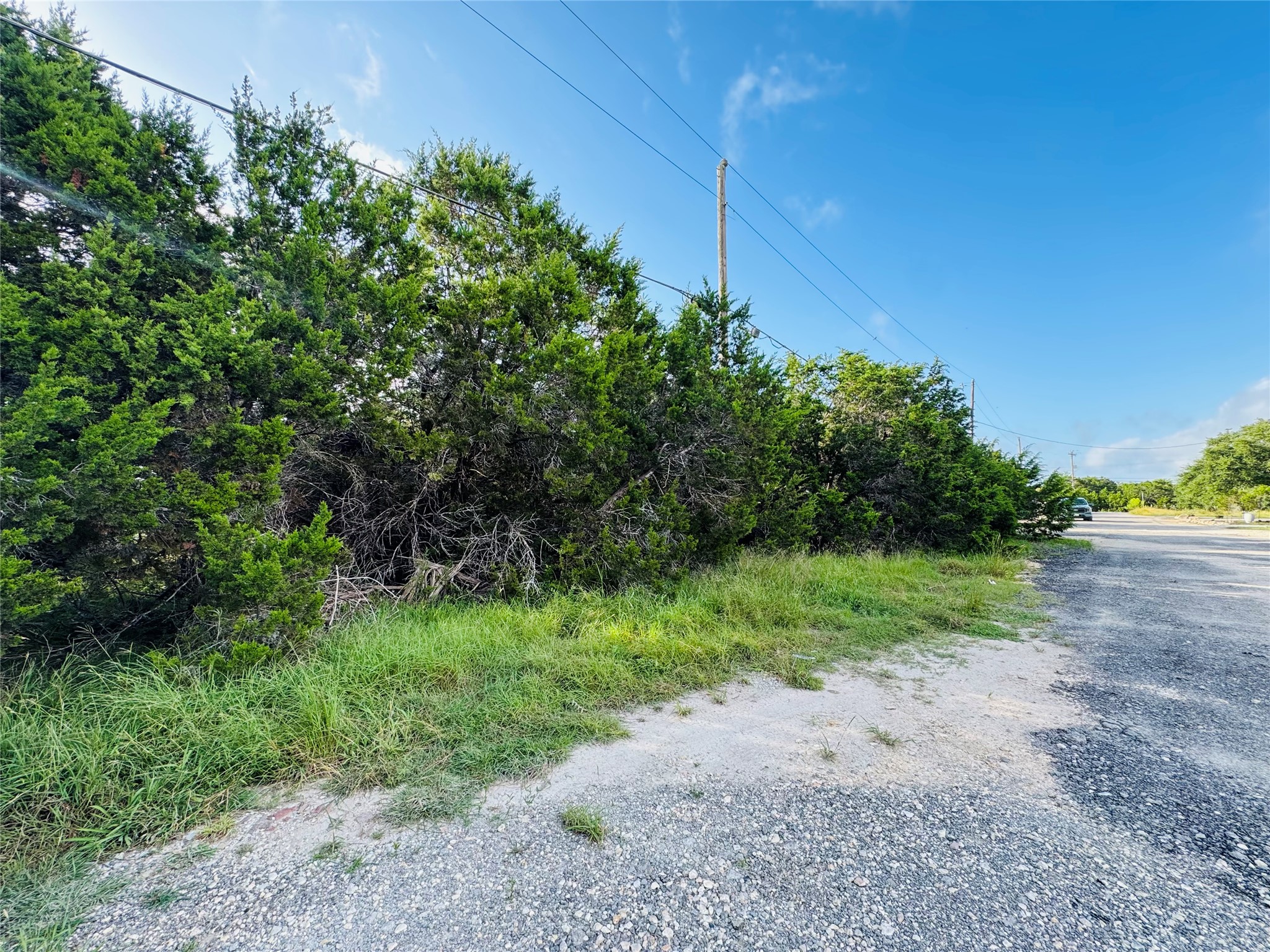 419 Thunderhead Drive Spring Branch, TX 78070 - Photo 5 of 7 a view of a yard with plants and a tree