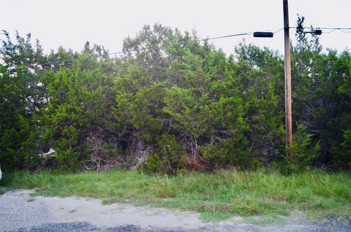 419 Thunderhead Drive Spring Branch, TX 78070 - Photo 6 of 7 a view of a lush green forest