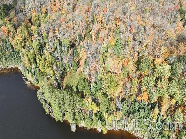 5800 Wolf Lake Road Watersmeet, MI 49969 - Photo 77 of 86