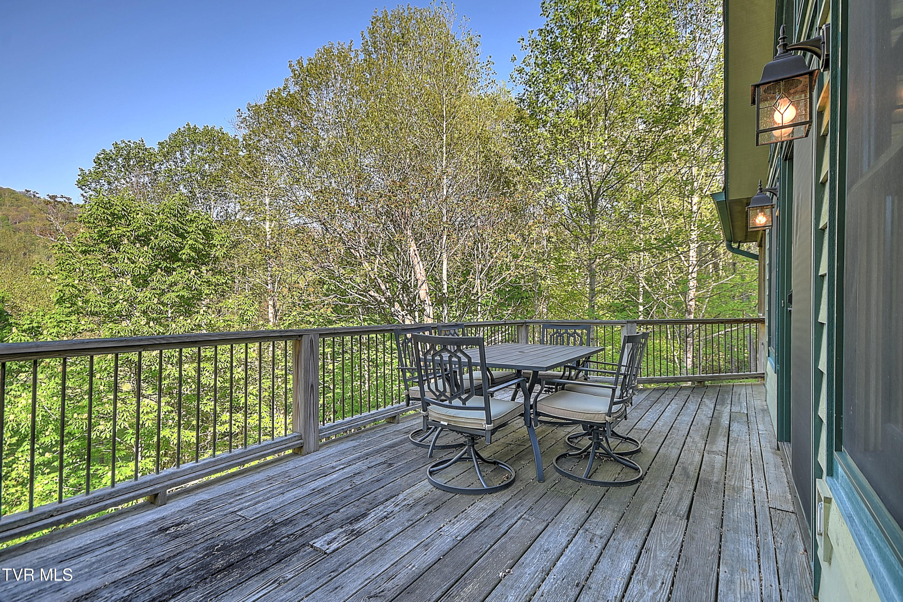 410 Eagle Ridge Road Roan Mountain, TN 37687 - Photo 63 of 97 410 Eagle Ridge HP-61