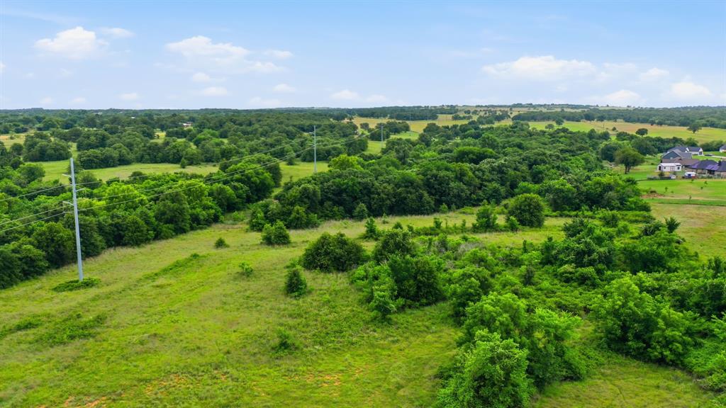 Tbd Lone Star Road Weatherford, TX 76088 - Photo 8 of 20