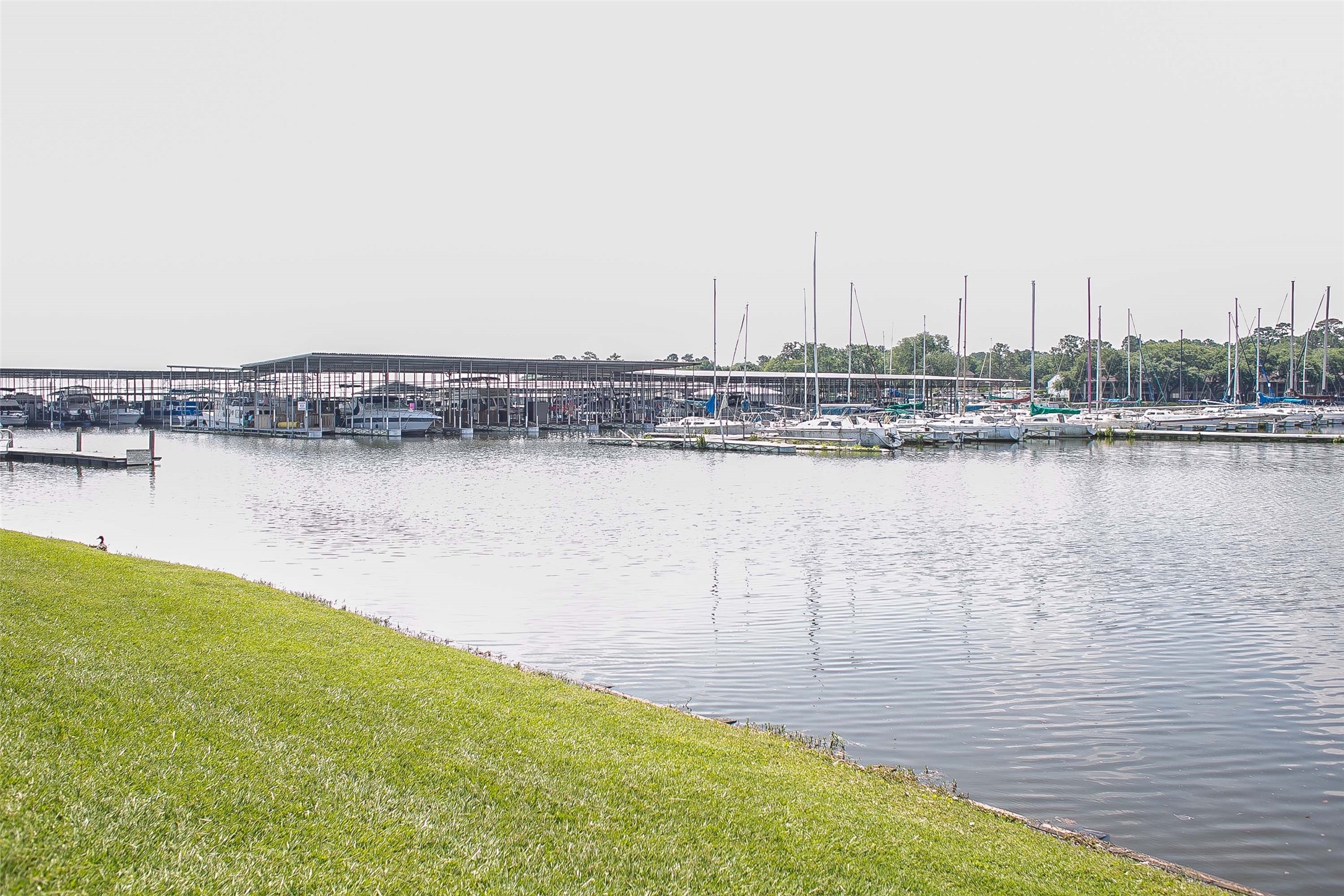 12900 Walden Road, Unit 220B Montgomery, TX 77356 - Photo 45 of 50