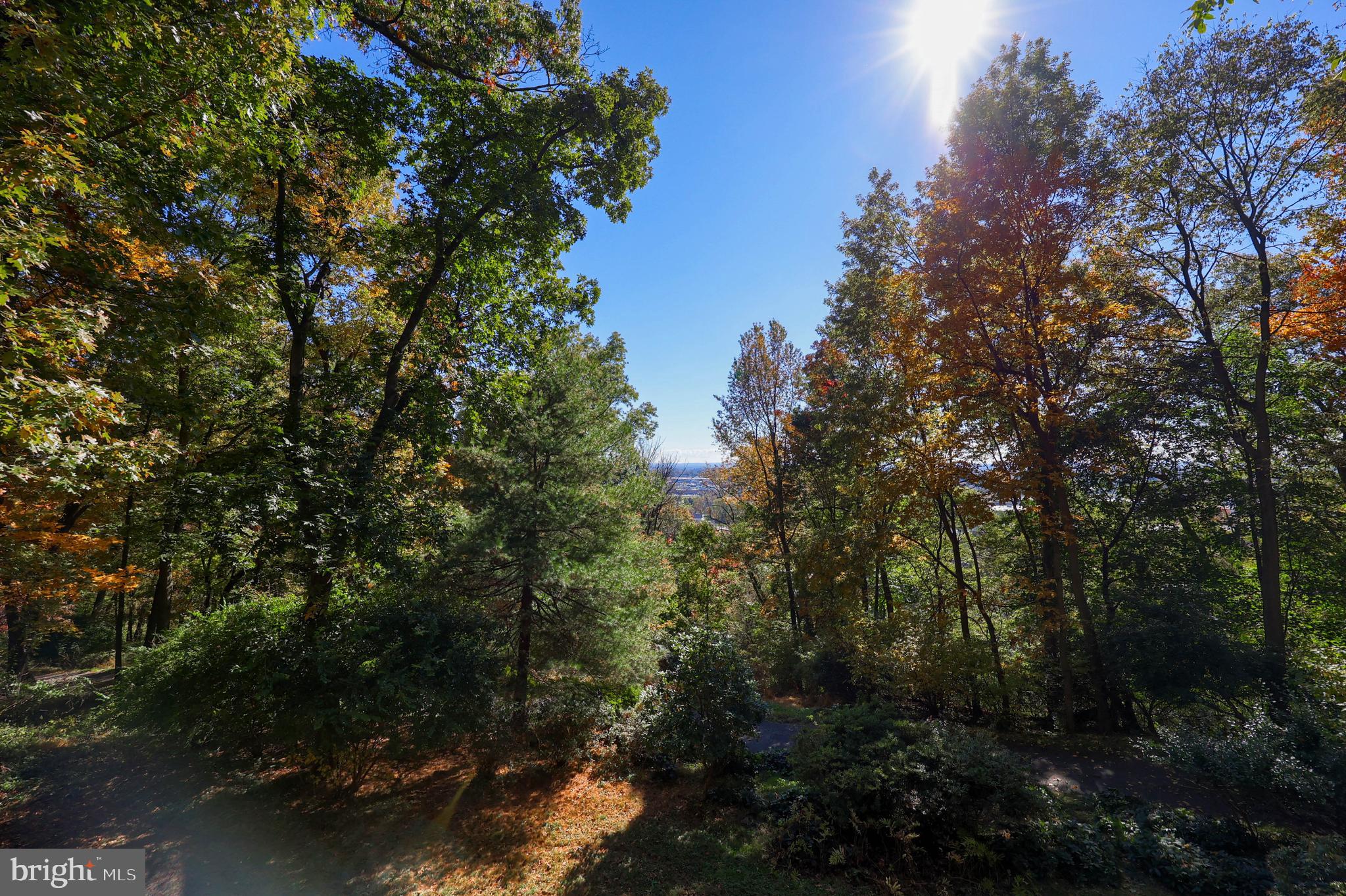 2487 Chestnut Ridge Drive Lancaster, PA 17601 - Photo 16 of 96 a view of a city with lush green forest