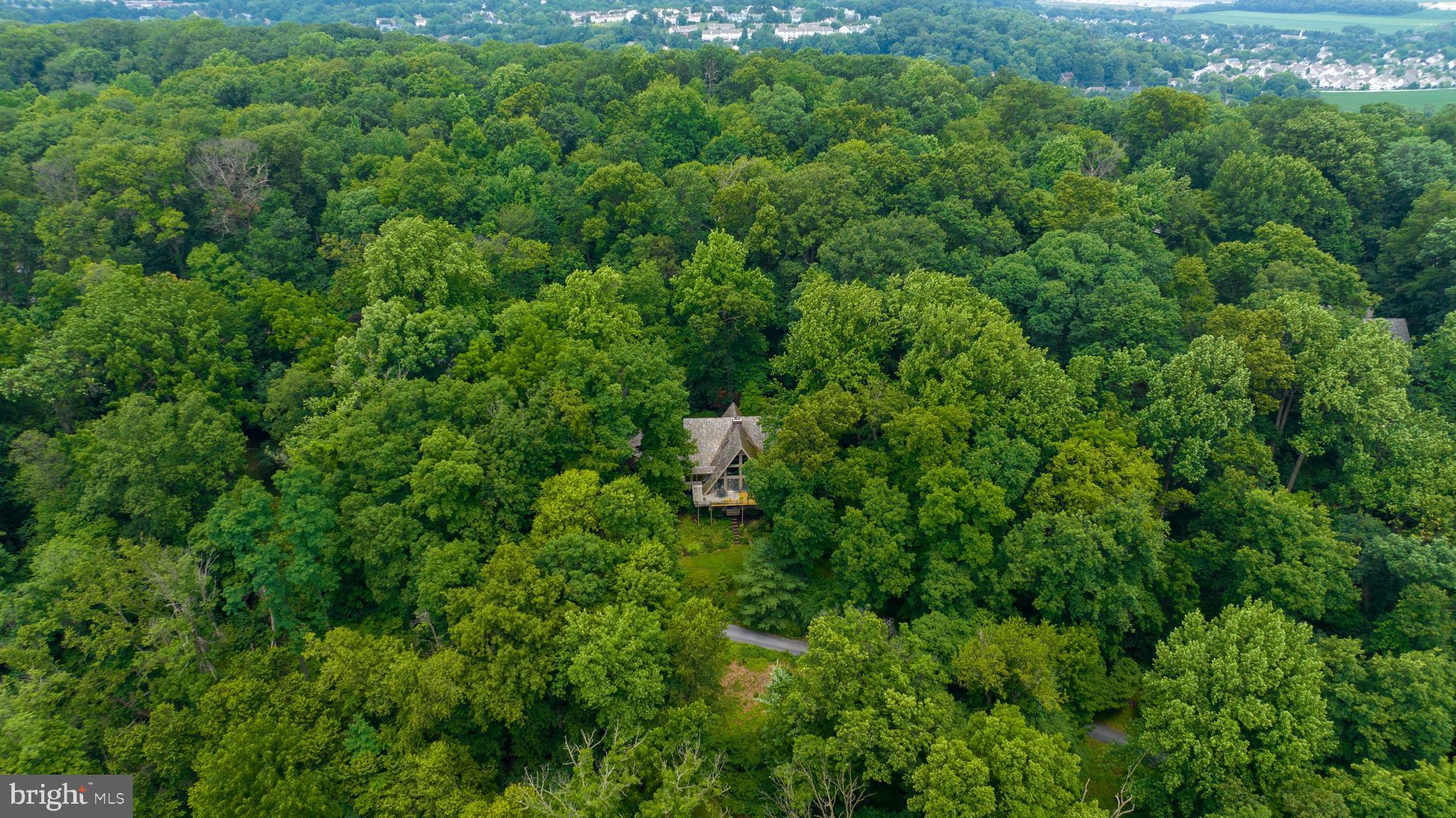 2487 Chestnut Ridge Drive Lancaster, PA 17601 - Photo 24 of 96 a view of a lush green forest