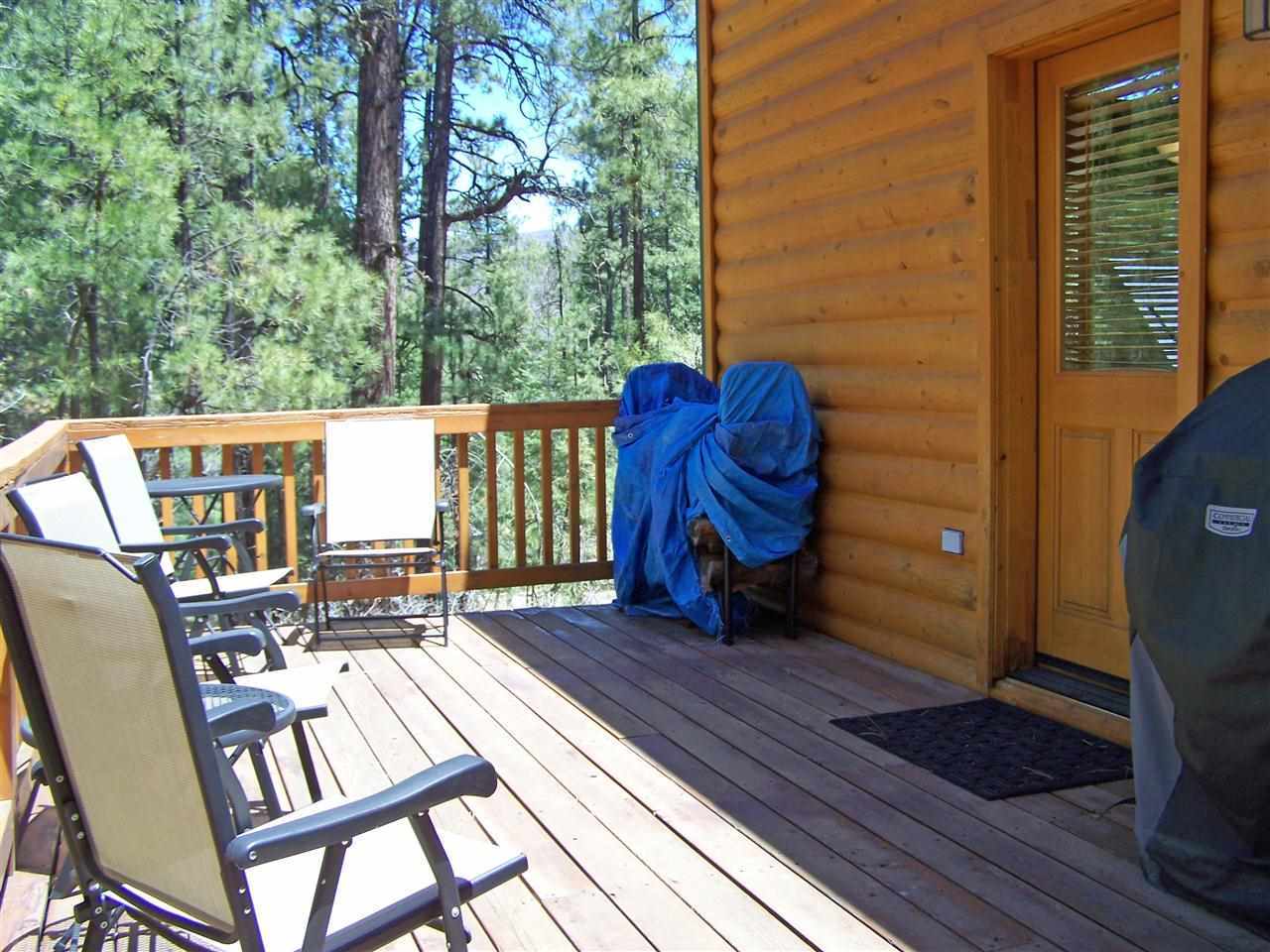 25 County Road Alpine, AZ 85920 - Photo 4 of 23