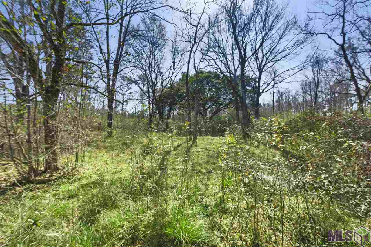 8626 Hooper Road Baton Rouge, LA 70811 - Photo 5 of 5