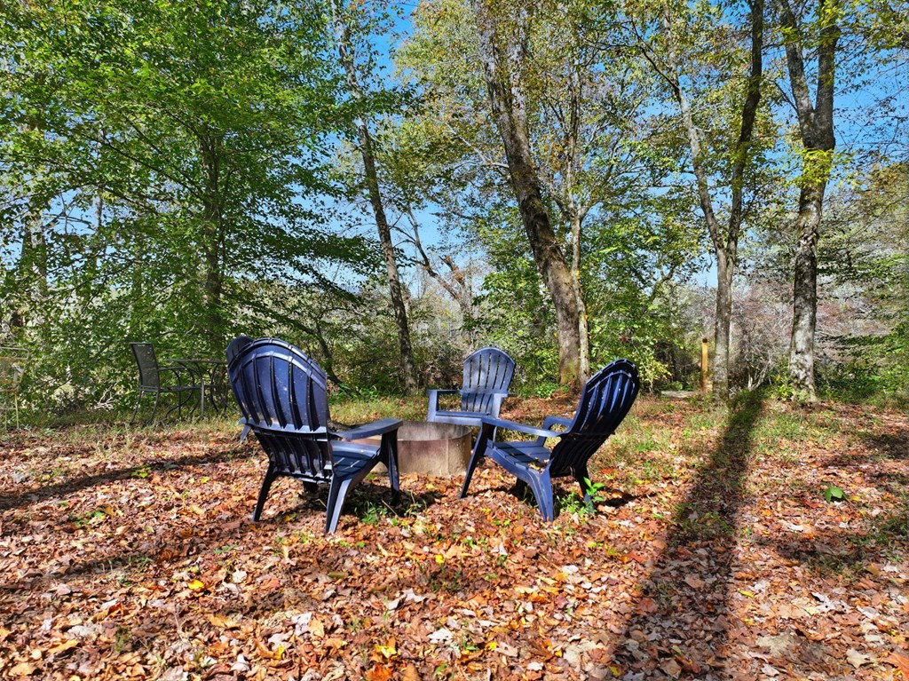 444 Weaver Road Ellijay, GA 30536 - Photo 25 of 32 Gallery Image 25