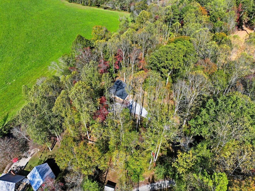444 Weaver Road Ellijay, GA 30536 - Photo 29 of 32 Gallery Image 29