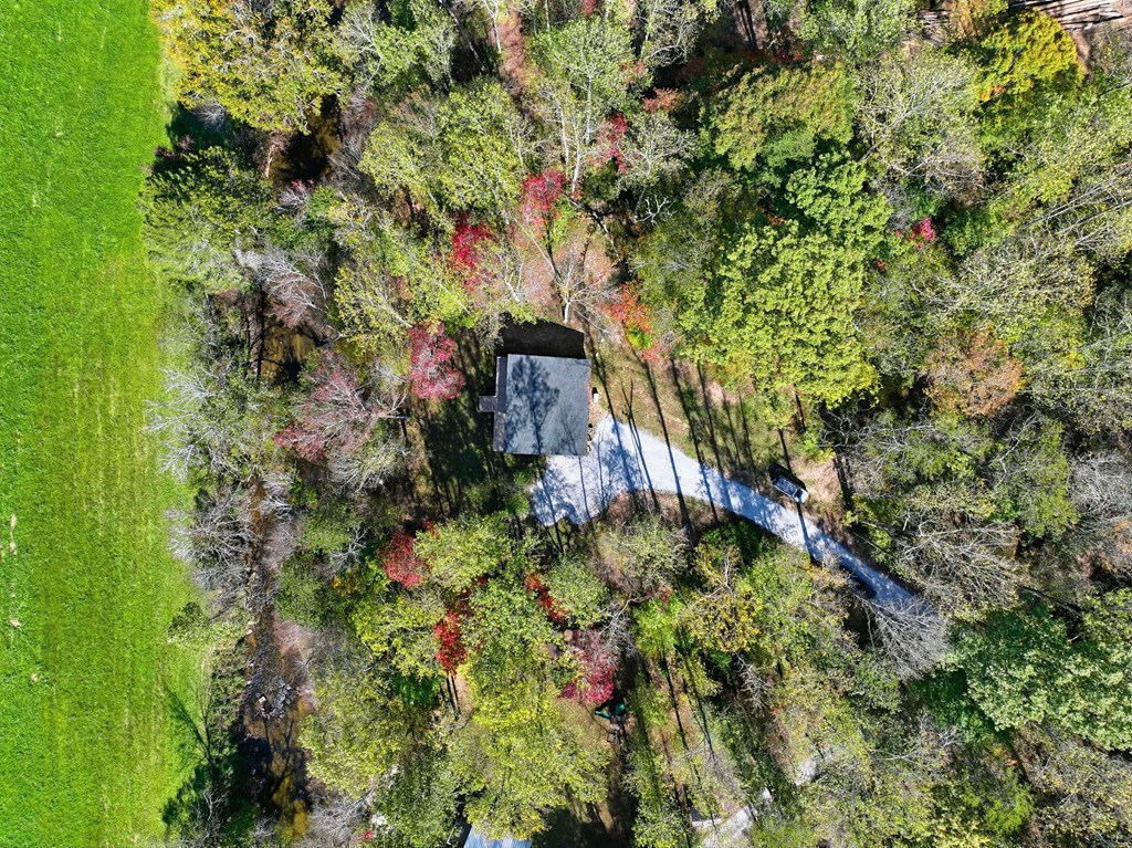 444 Weaver Road Ellijay, GA 30536 - Photo 30 of 32 Gallery Image 30