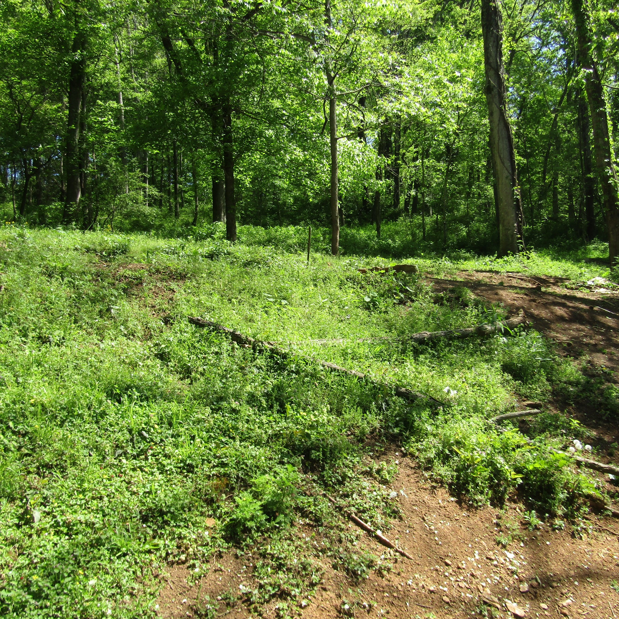 1833 Mack Benderman Road Culleoka, TN 38451 - Photo 19 of 19 Gallery Image 19
