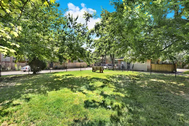 a view of a yard with a tree