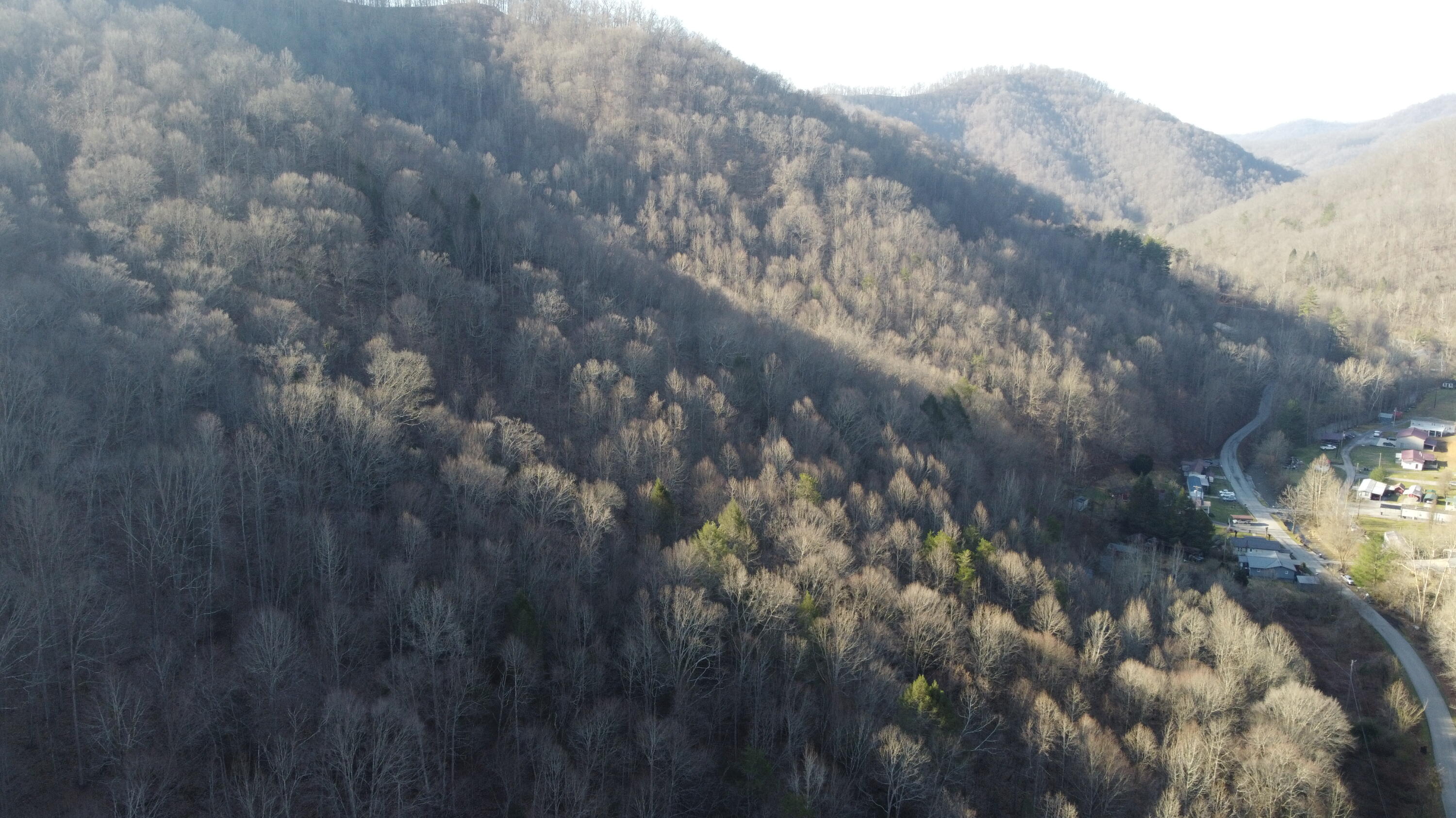500 Simms Fork Road Arjay, KY 40902 - Photo 2 of 12 DJI_0561
