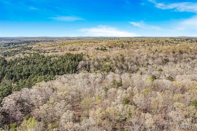 $1,595,000 | 858 Wayne, Greenville, MO 63944