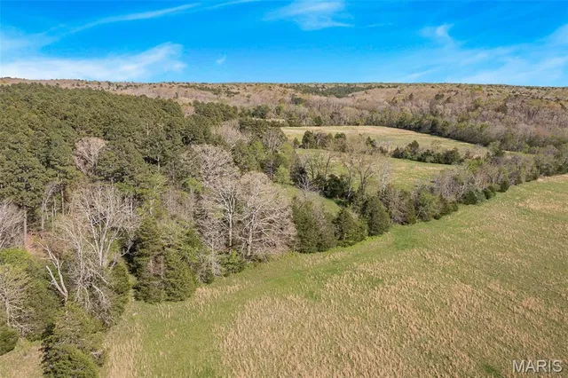 $1,595,000 | 858 Wayne, Greenville, MO 63944