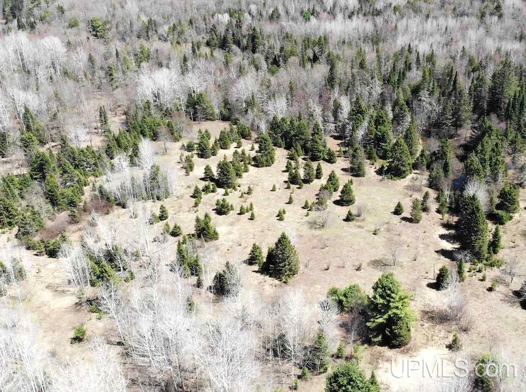 Tbd Johnson Road Pelkie, MI 49958 - Photo 9 of 18 Gallery Image 9