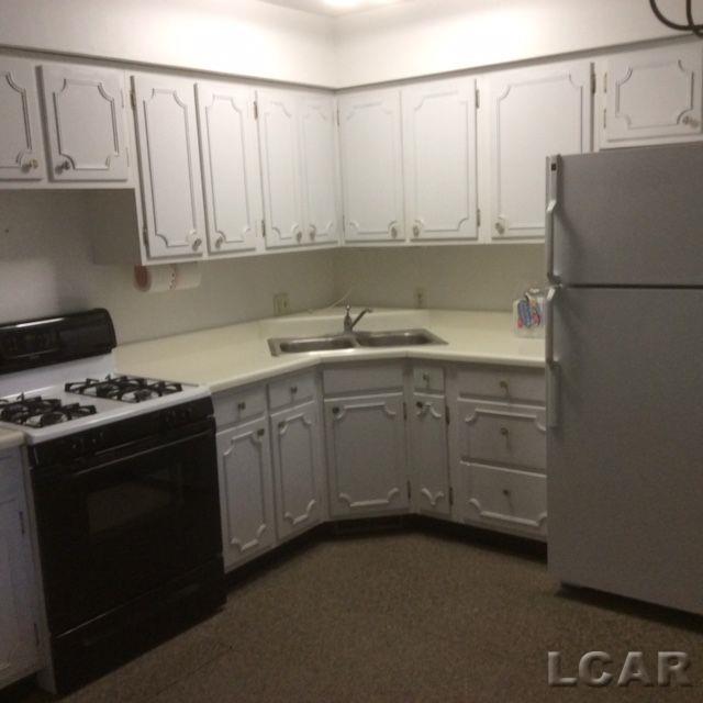 1725-1745 East Carleton Road Adrian, MI 49221 - Photo 14 of 18 Kitchen for Unit on Right