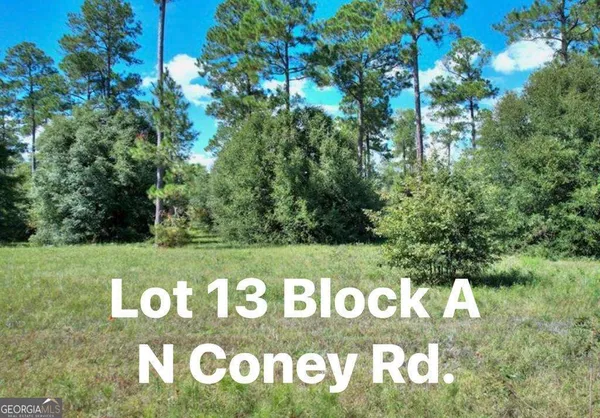 $22,900 | Tbd North Coney Rd Lot 13 Block A, Cordele, GA 31015