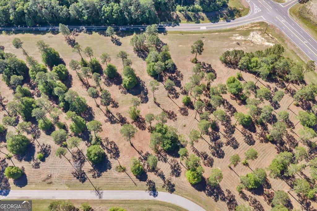 0 North Coney Rd Lot 13 Block A Cordele, GA 31015 - Photo 6 of 8