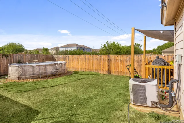 a view of a garden with plants and a large tree