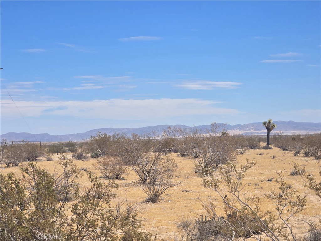 1577 Mc Garry Road Joshua Tree, CA 92252 - Photo 8 of 8