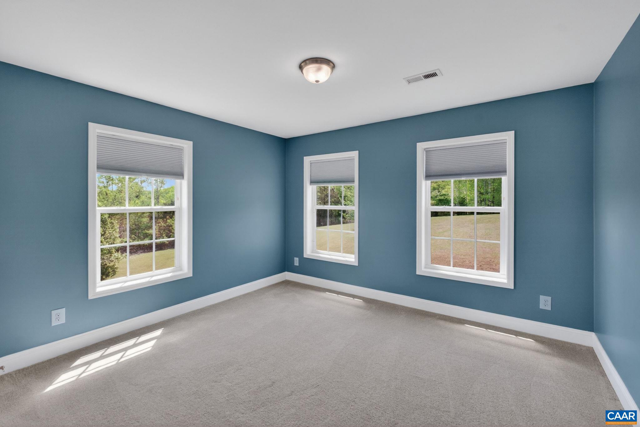 742 White Hall Road Keswick, VA 22947 - Photo 33 of 50 Gallery Image 33