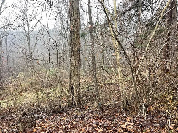 $15,000 | 16 Woodcliff Drive, Washington, WV 26181